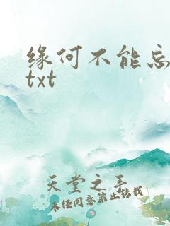 缘何不能忘记你txt