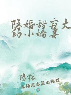隐婚甜宠大财阀的小娇妻
