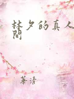 林夕的真人娃娃间