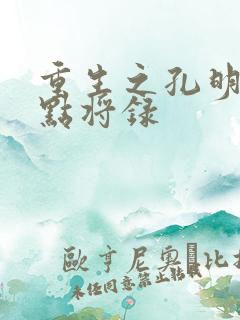 重生之孔明异世点将录