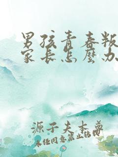 男孩青春叛逆期家长怎么办