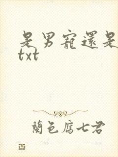 是男宠还是禁脔txt