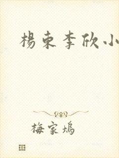 杨东李欣小说