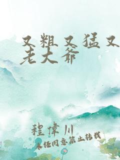 又粗又猛又大爽老大爷