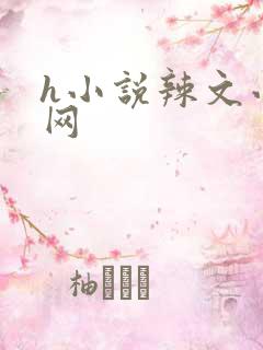 h小说辣文小说网