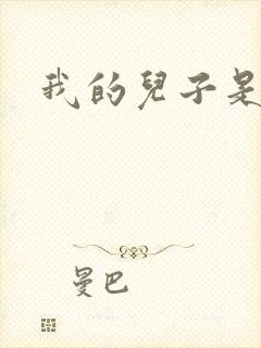 我的儿子是雍正