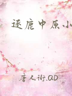 逐鹿中原小说