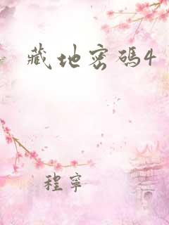 藏地密码4
