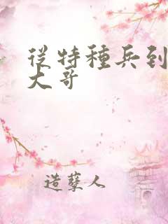从特种兵到黑道大哥