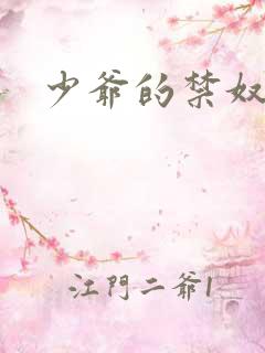 少爷的禁奴