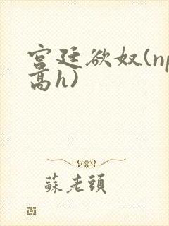 宫廷欲奴(np高h)