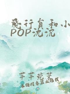 飞行员和小空乘POP沈沉