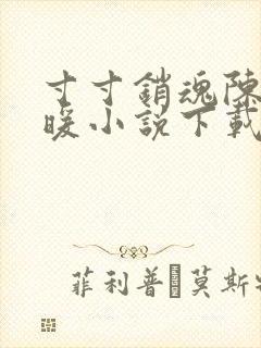 寸寸销魂陈聪王暖小说下载