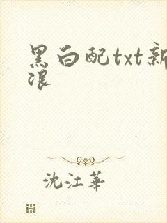 黑白配txt新浪