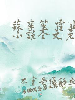 苏宁笙 霍止行小说全文免费阅读