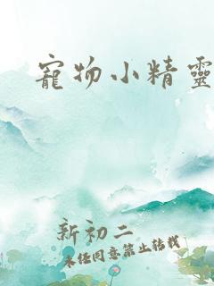 宠物小精灵之梦