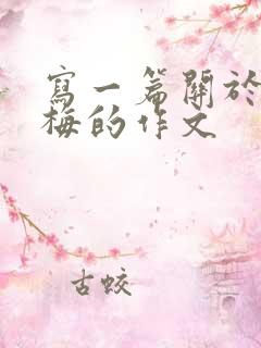 写一篇关于张桂梅的作文