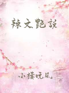 辣文艳说