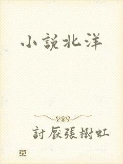 小说北洋