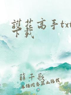 护花高手txt下载