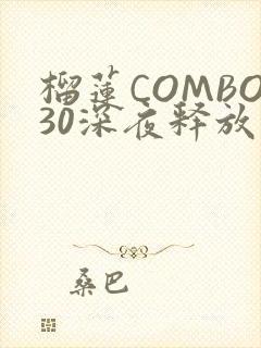 榴莲COMBO30深夜释放自己