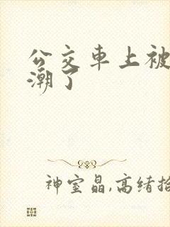 公交车上被摸高潮了
