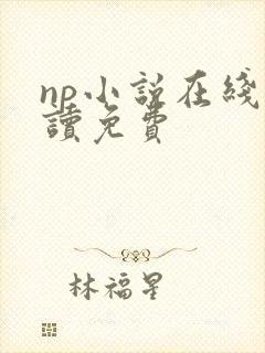 np小说在线阅读免费