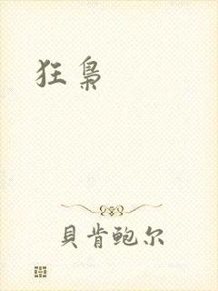 狂枭