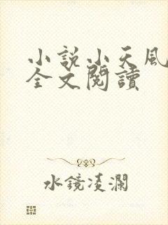 小说小天风流记全文阅读