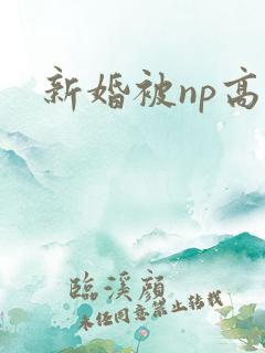 新婚被np高h