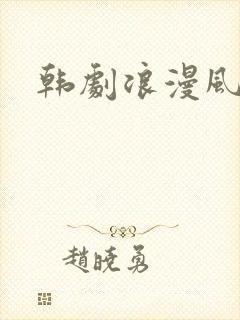 韩剧浪漫风暴
