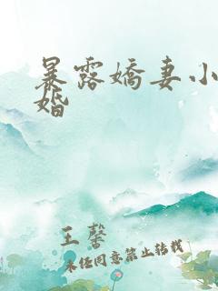 暴露娇妻小月新婚