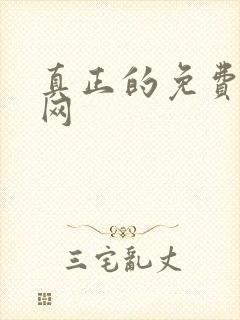 真正的免费小说网