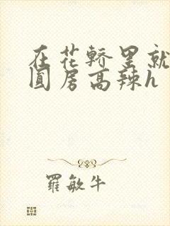 在花轿里就开始圆房高辣h