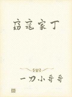 窈窕家丁