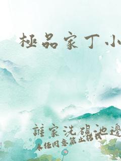 极品家丁小说