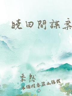 晓田间谍案