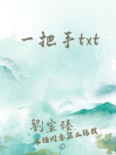 一把手txt