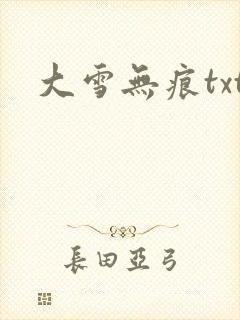 大雪无痕txt