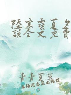 陆寒霆夏夕绾小说全文免费阅读落秋