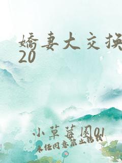 娇妻大交换1一20