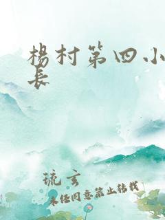 杨村第四小学校长