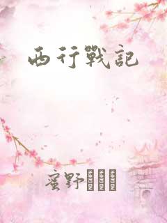 西行战记