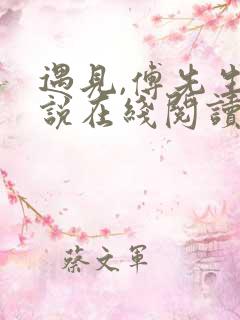 遇见,傅先生小说在线阅读