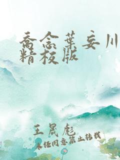 乔念叶妄川完整精校版