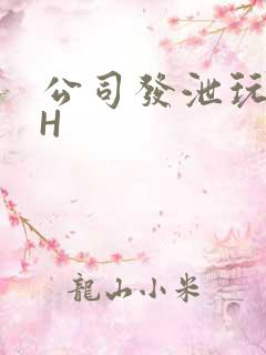 公司发泄玩具lH