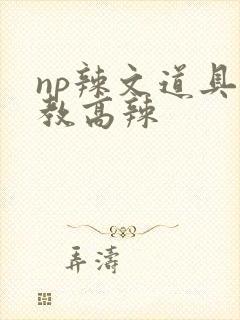 np辣文道具调教高辣
