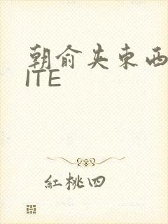 朝俞夹东西WRITE