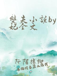 双夫小说by黛妃全文