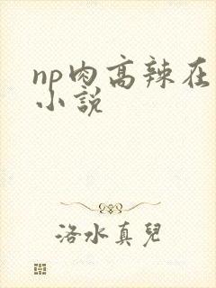 np肉高辣在线小说